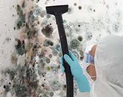 Florida City, FL Mold Inspection Company